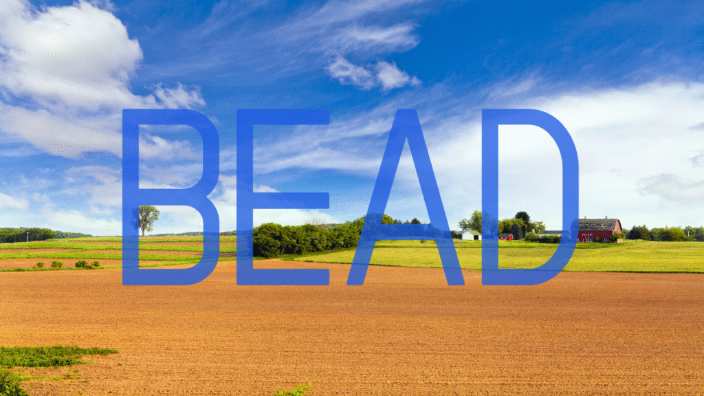 BEAD – 5 ولايات تحقق تقدمًا حقيقيًا
