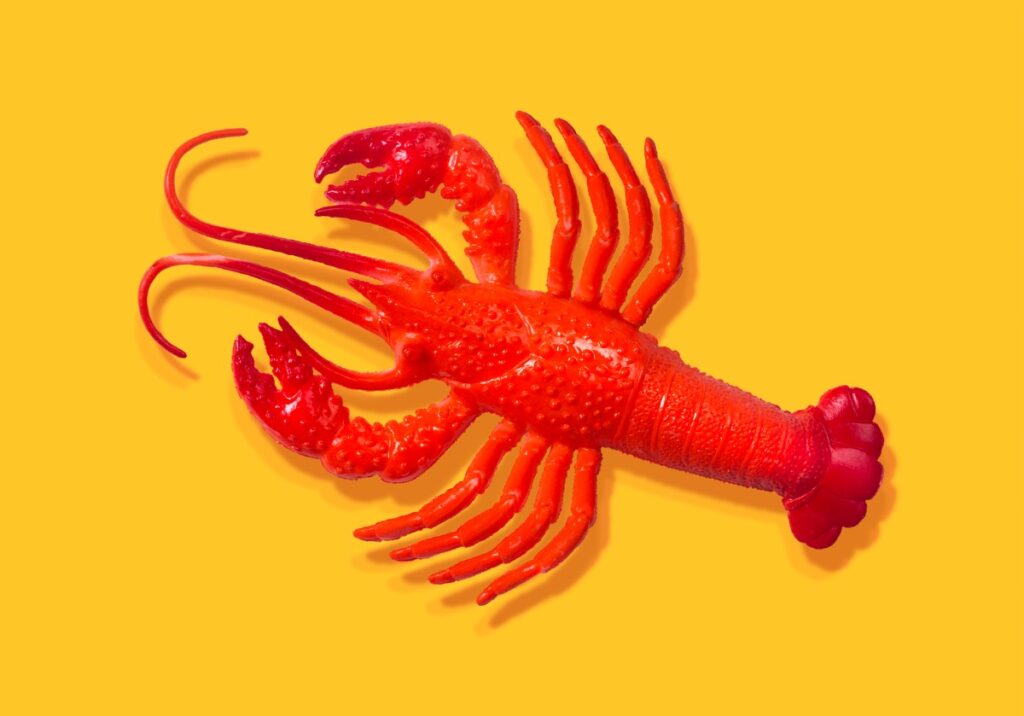 بعد كل هذه الضجة، لا يعتقد بعض خبراء الذكاء الاصطناعي أن OpenClaw مثير إلى هذا الحد