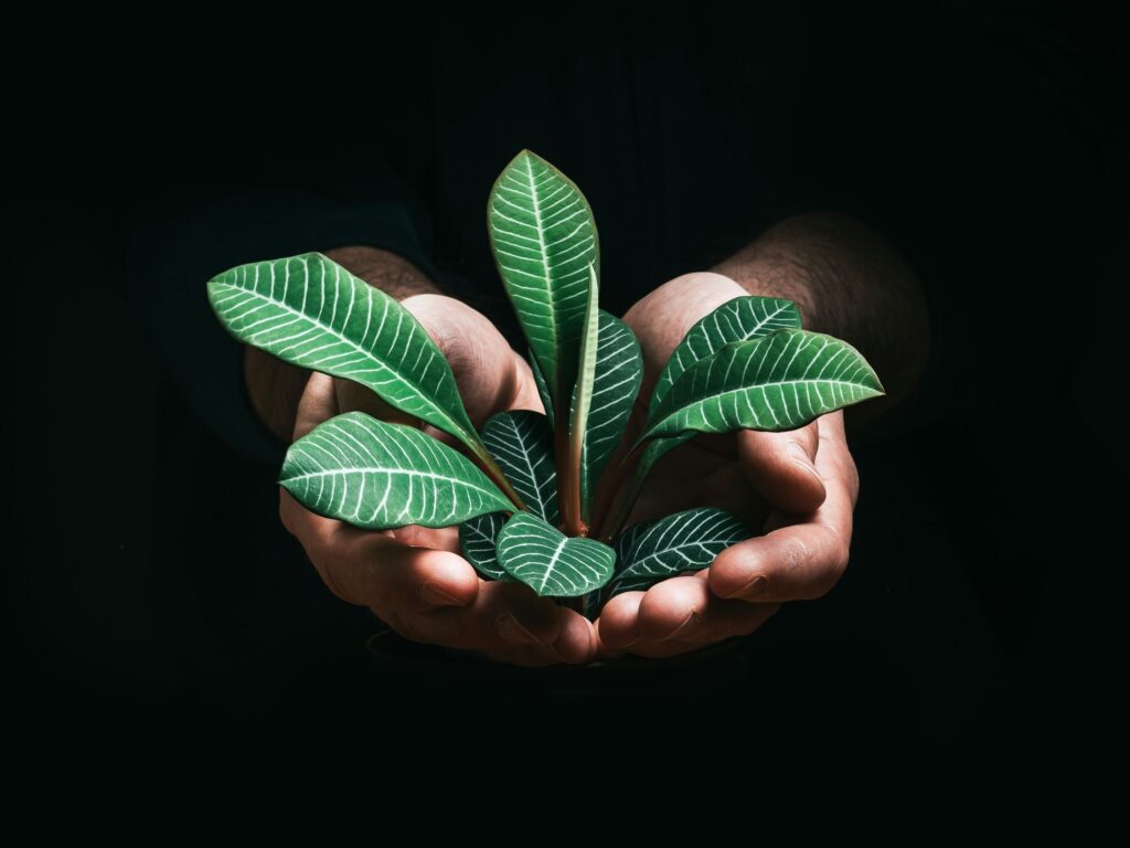 استخدام الذكاء الاصطناعي لخفض انبعاثات الجيل الخامس وتحقيق الأهداف البيئية والاجتماعية والحوكمة للمؤسسات